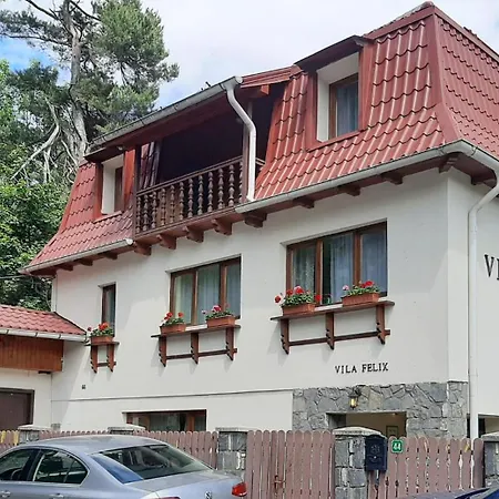 Felix 3* Sinaia