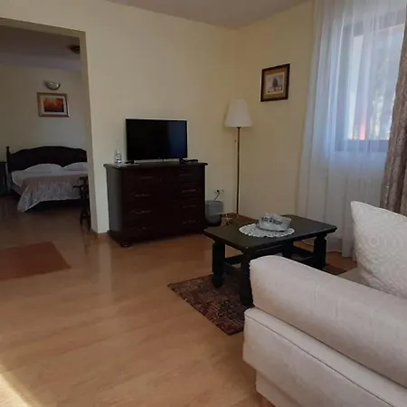Guest house Felix Sinaia