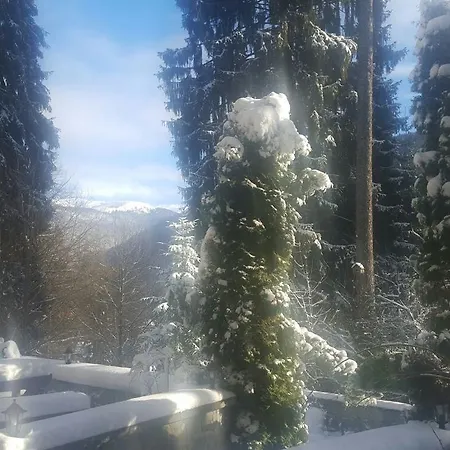 Felix 3* Sinaia